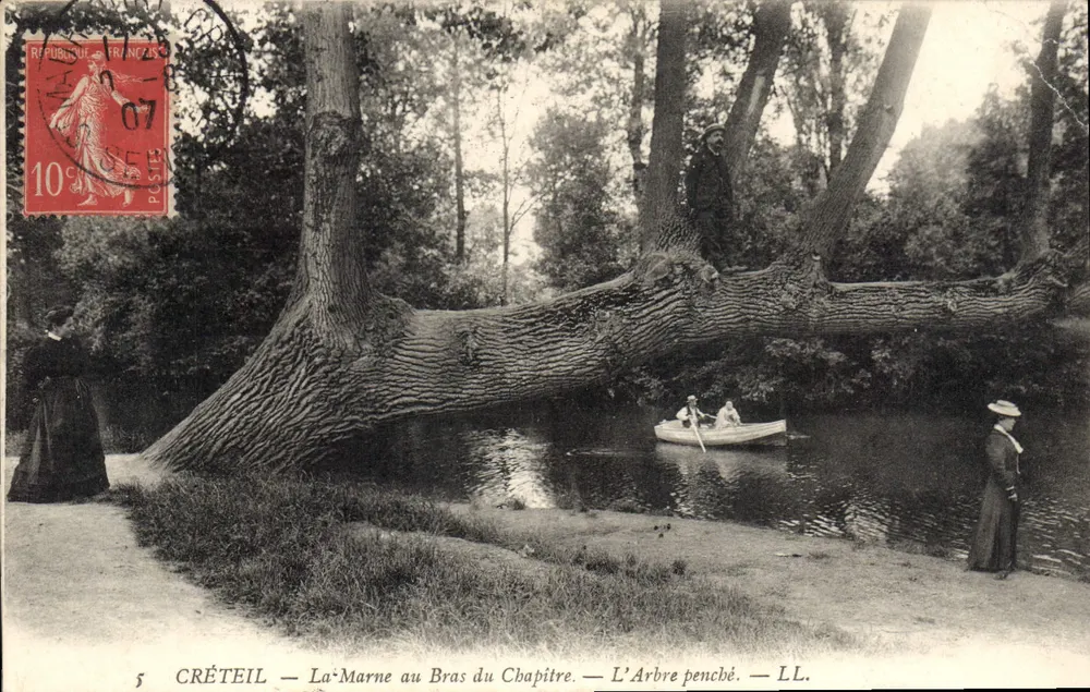 Créteil — La Marne au Bras du Chapitre — Der geneigte Baum — LL. - Vorderseite