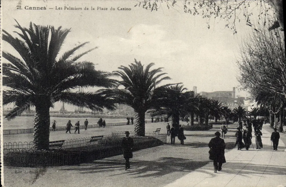Cannes — Die Palmen der Place du Casino — Édit. L. Fuchs - Vorderseite