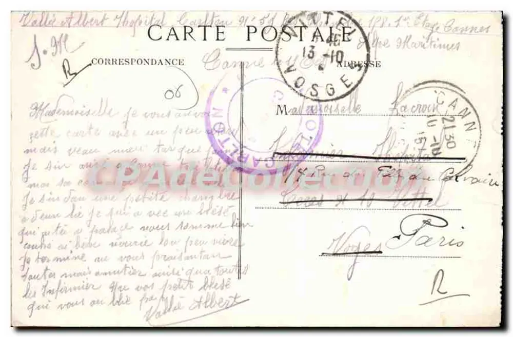 Cannes — Die Palmen der Place du Casino — Édit. L. Fuchs - Rückseite