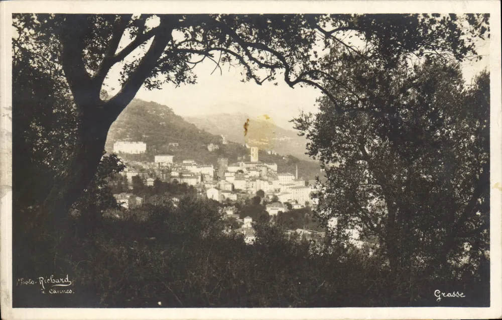 Vista de Grasse — vista panorâmica vista de uma árvore — Foto Richard, Cannes - Frente