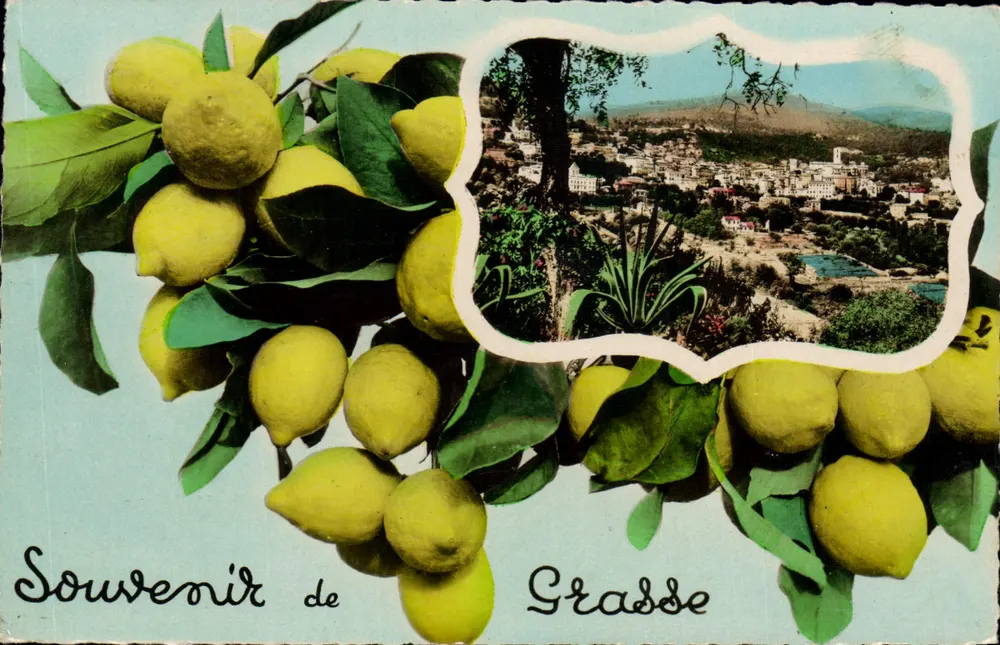 Grasse — Pamiątka z Grasse — Wydawnictwo MARSA - Awers