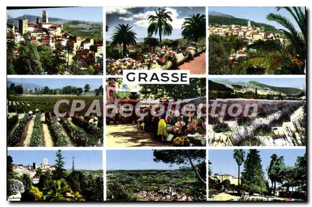 Grasse — vista panorâmica e mercado — Edições S.E.P.T. Bd Garbella - Frente