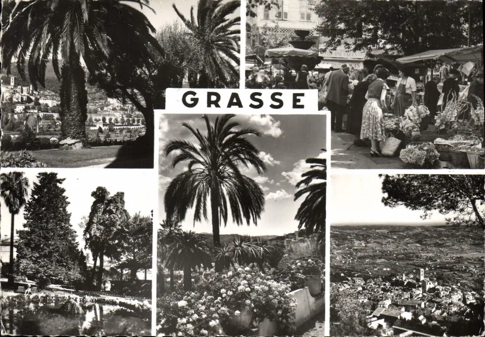 Grasse — vista panorâmica e mercado — Edições SEPT - 7571 - Frente