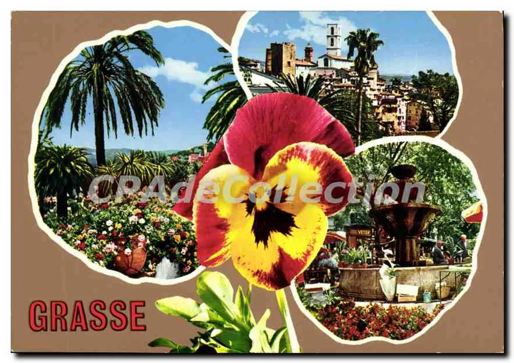 Grasse — widok panoramiczny i kwiaty — Éditions S.E.P.T. - 35, Boulevard Gorbella - Nice - Awers
