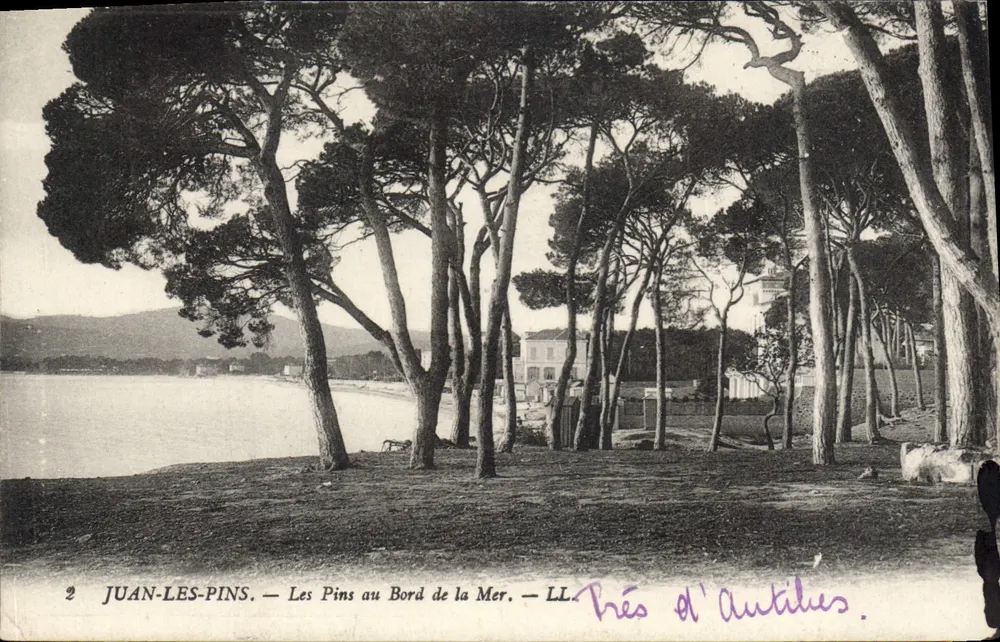 Juan-les-Pins — Die Pines am Meer — LL - Vorderseite