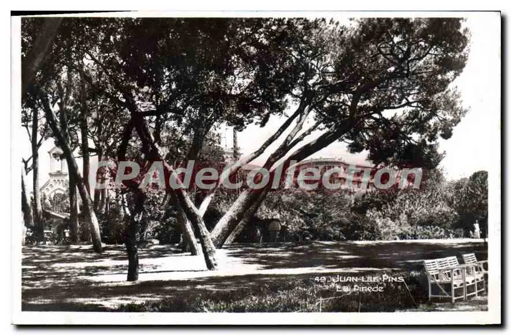 JUAN-LES-PINS — Vista da Pinède — Editor desconhecido, n° 49 - Frente