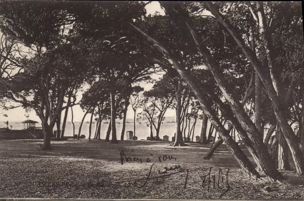 JUAN-LES-PINS — Vista do parque bordando o mar — Carta postal - Frente