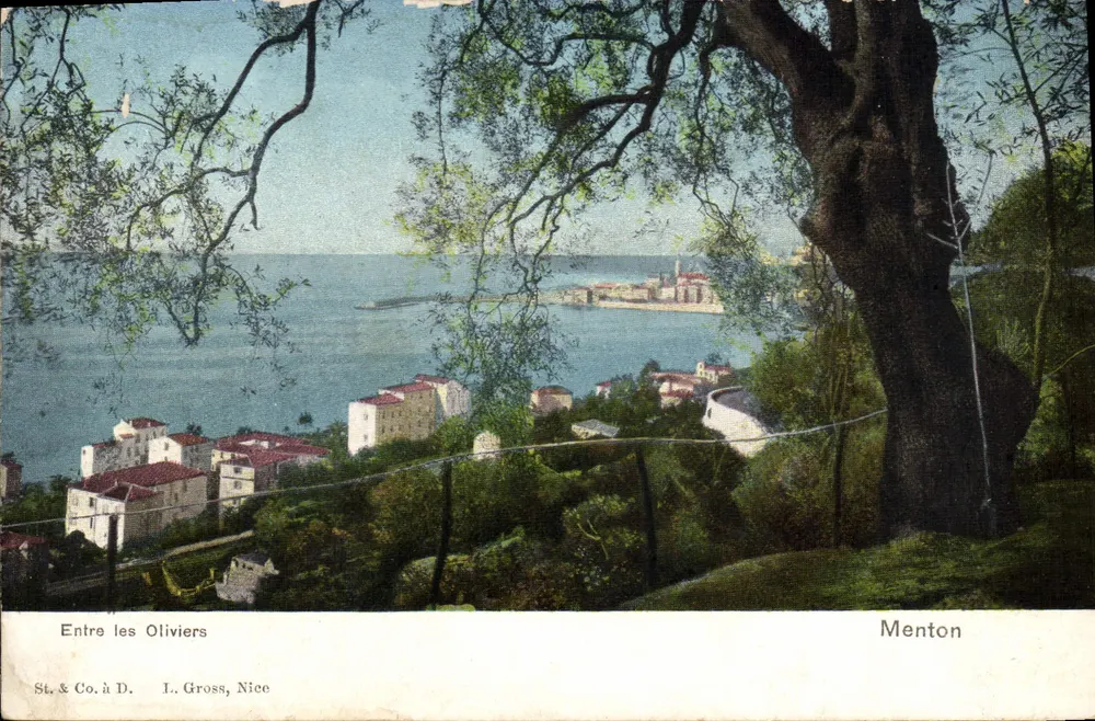 Entre os Oliveiros — vista de Menton — St. & Co. à D. L. Gross, Nice - Frente