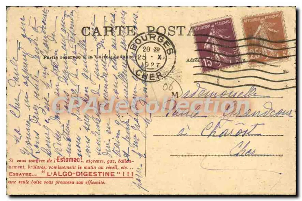 Menton — Die Gärten des Carei — Palmen - Rückseite