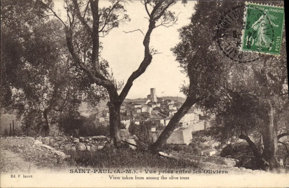 Saint-Paul (A.-M.) — Ansicht zwischen den Olivenbäumen — Verlag F. Issert - Vorderseite