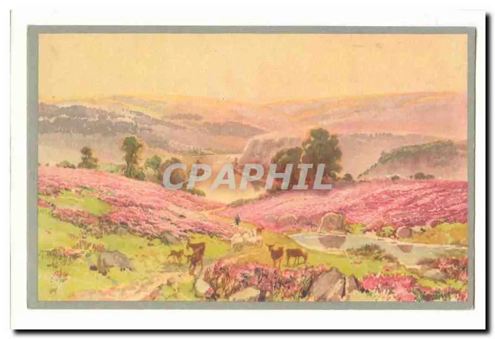 Berglandschap met roze bloemen — uitgever niet zichtbaar - Voorkant