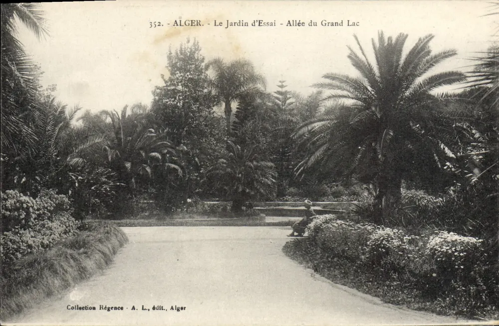 Alger - Der Versuchsgarten - Avenue du Grand Lac — Sammlung Régence, A. L., Verlag Alger - Vorderseite