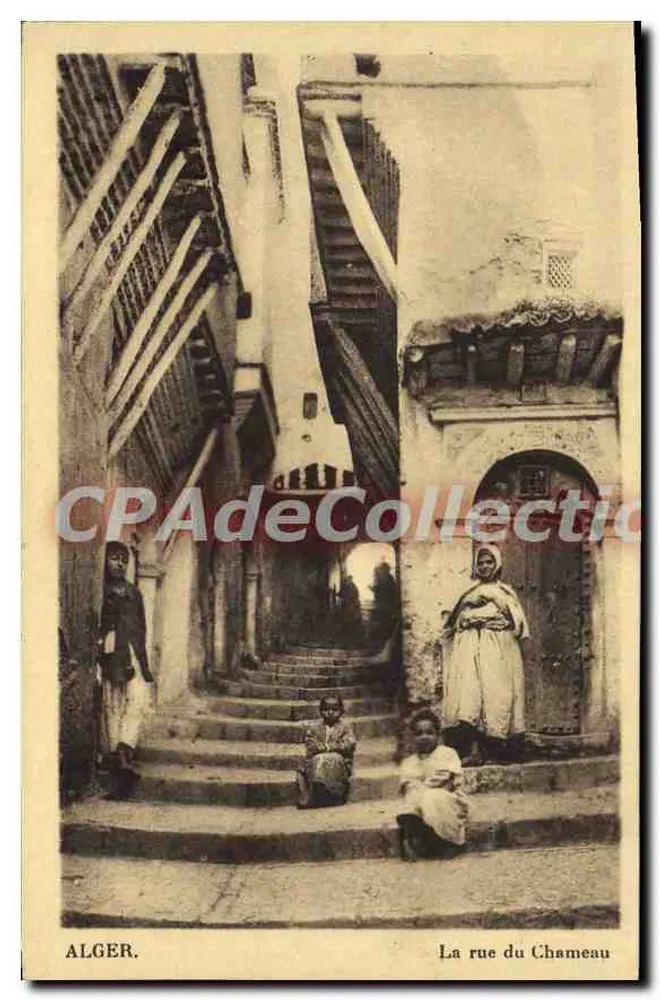 अल्जीर — चमेओ रू — पुराना पोस्टकार्ड कलेक्शन - आगे