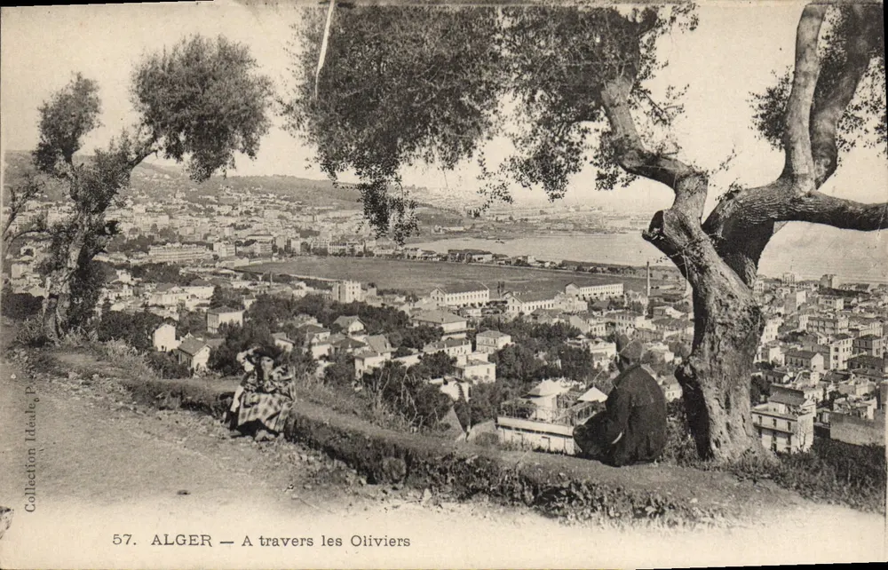 ALGER — Através dos Oliveiras — Coleção Ideal, n°57 - Frente