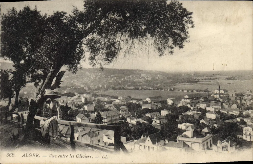Argel — Vista entre os Oliveiras — LL, n° 362 - Frente