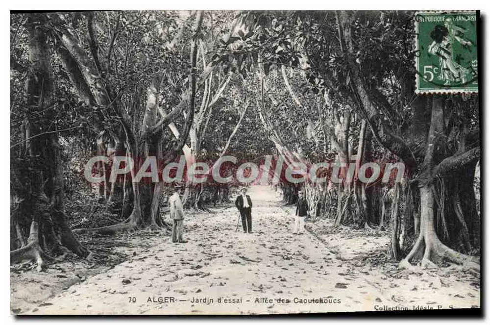 Alger — Versuchsgarten — Kautschukallee - Vorderseite