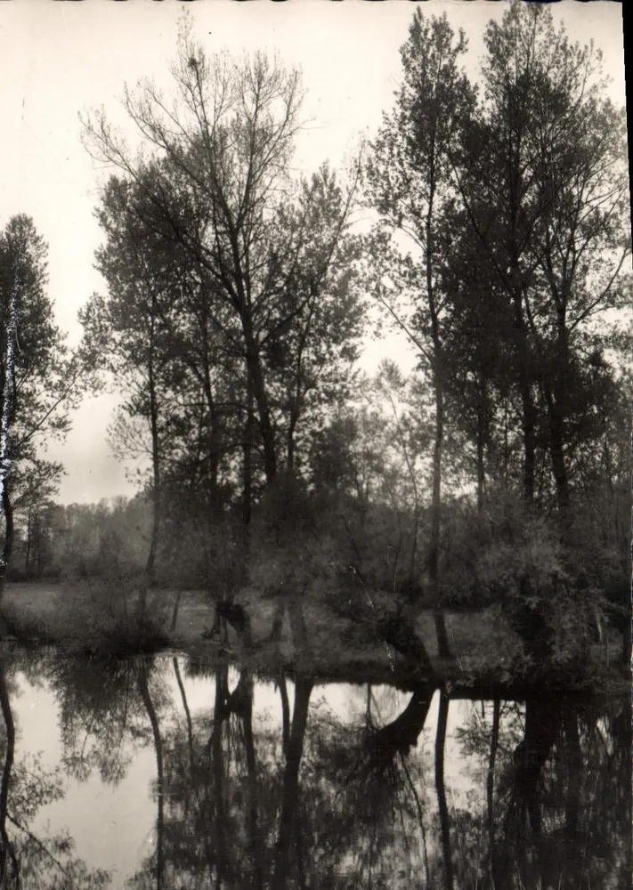 Poilly-sur-Serein (Yonne) — Die Ufer des Serein — Authentische Fotografie - Vorderseite
