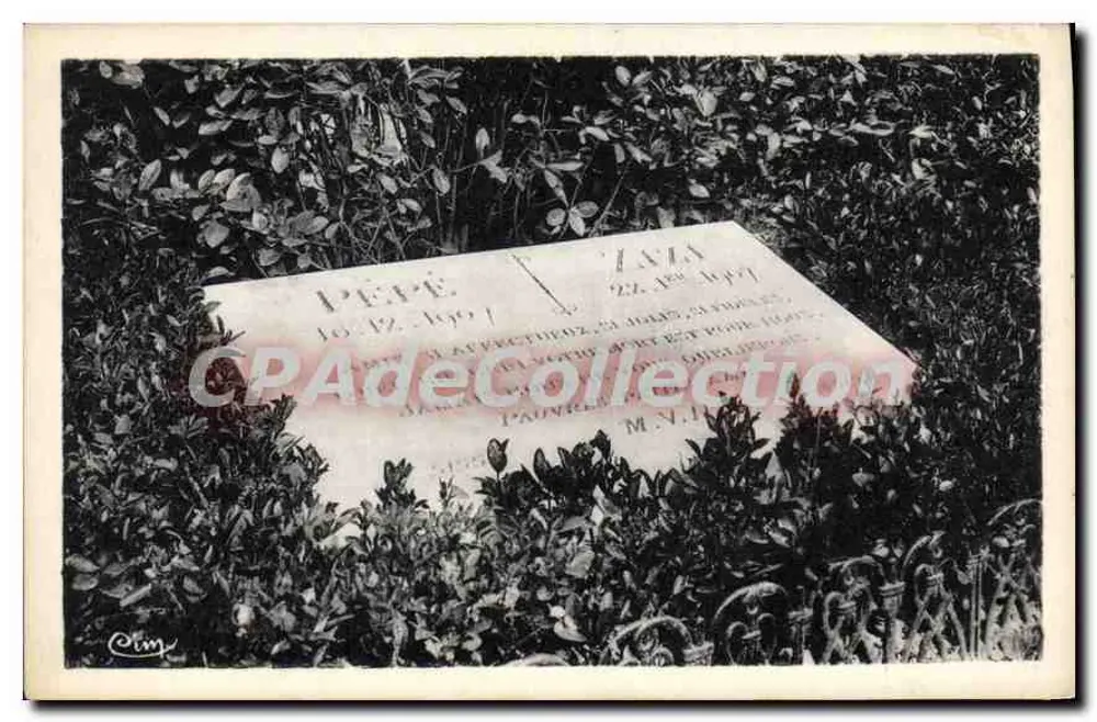 Grab des Père Zalé — Asnières — Tierfriedhof - Vorderseite