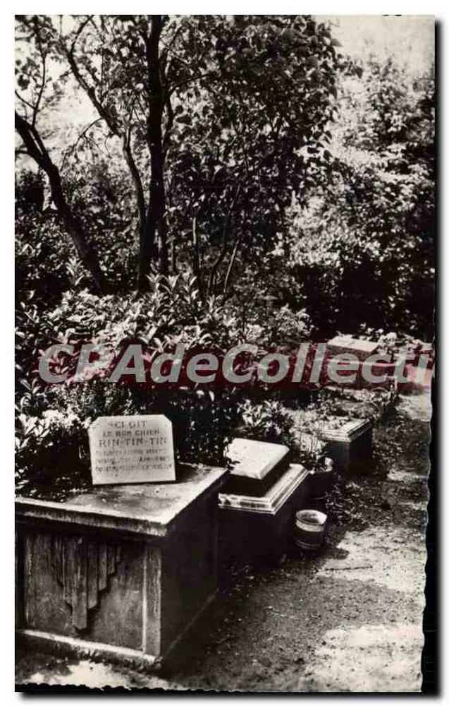 Asnières (Seine) — Tierfriedhof der Hunde, Denkmal für Rin-Tin-Tin — ABEILLE-CARTES & N° du Caire, Paris 2e - Vorderseite