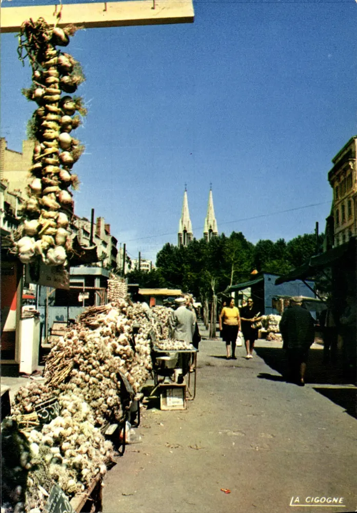 Mercado de cebolas — A Cegonha — Edições A Cegonha - Frente
