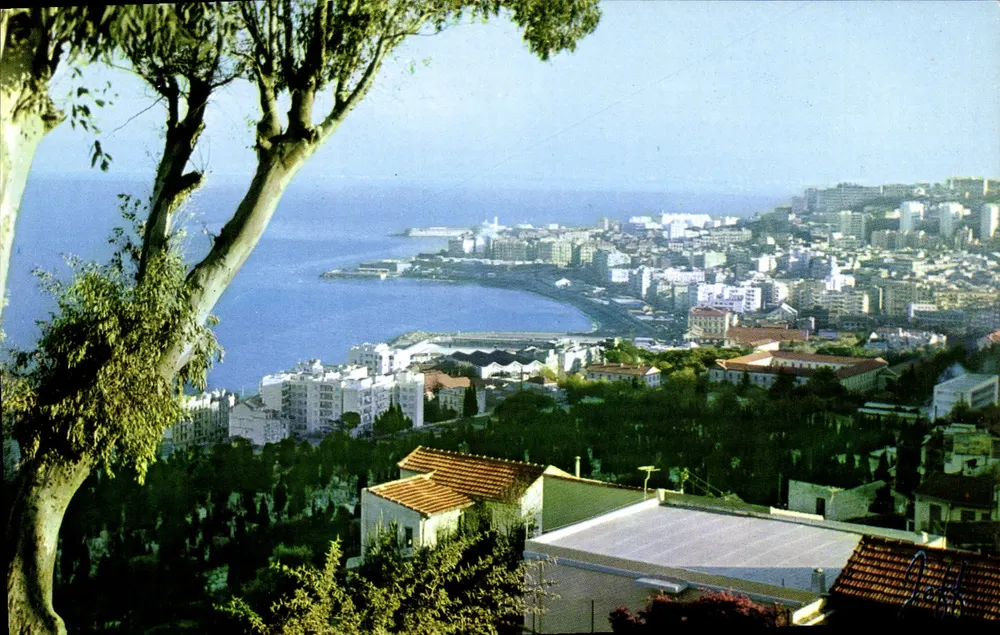 Okręgi Alżyrskie — Widok panoramiczny — Wydawnictwo JEFF, nr 1051 - Awers
