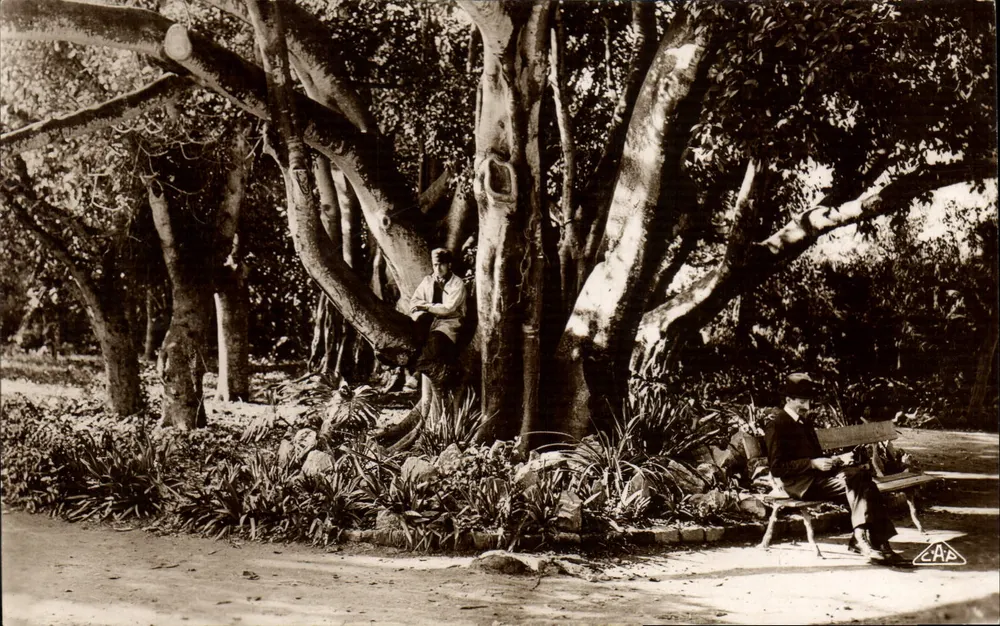 Argel — Jardim de Experimentação — Ficus — Edição L. e Y. Argel - Frente