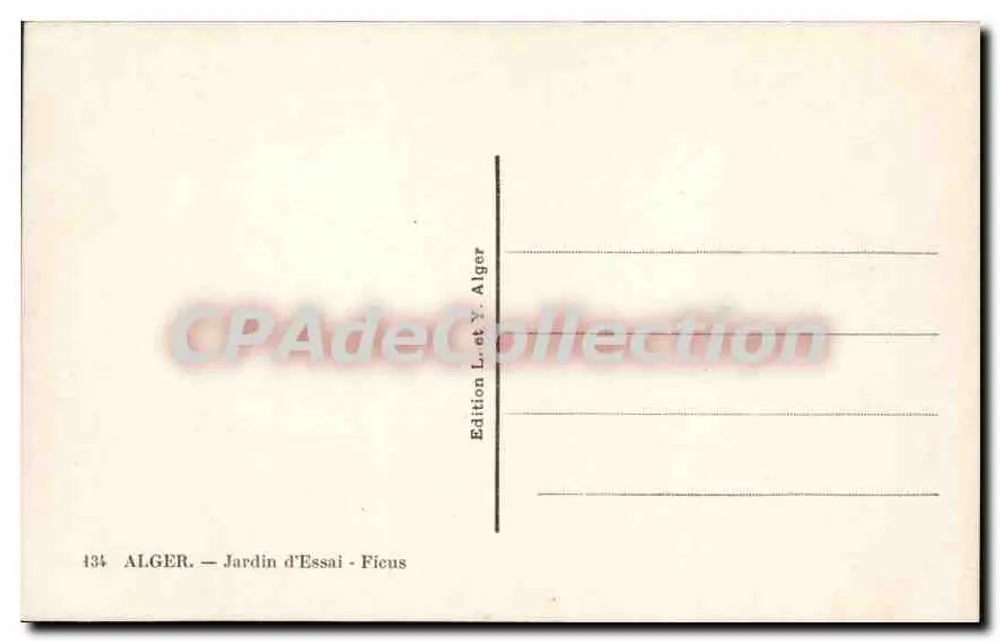Argel — Jardim de Experimentação — Ficus — Edição L. e Y. Argel - Verso