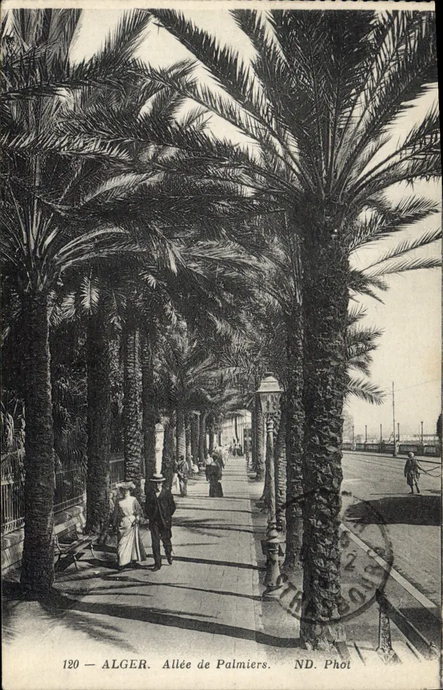 Argel — Avenida dos Palmeiros — ND. Phot, n°120 - Frente