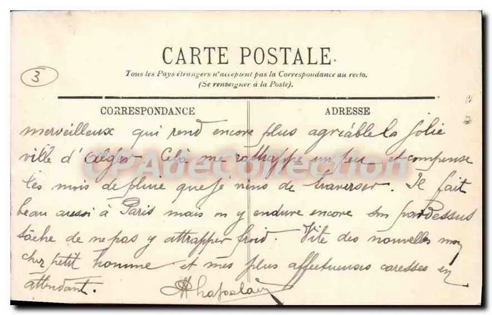 Argel — Rue de la Mer Rouge — LL. — 1900 - Verso