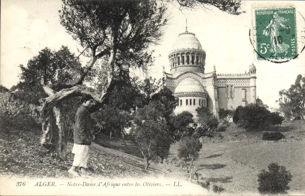 ALGER — Notre-Dame d'Afrique zwischen den Olivenbäumen — LL. — n° 376 - Vorderseite