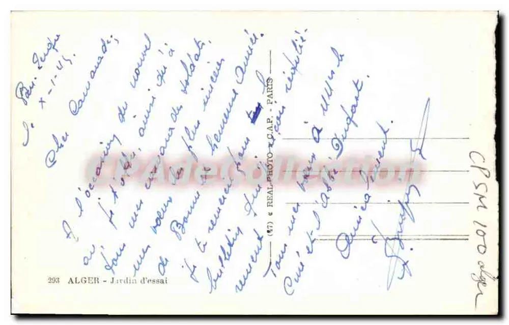 Argélia - Jardim experimental — vista aérea — editor C.A.P. - n° 203 - Verso