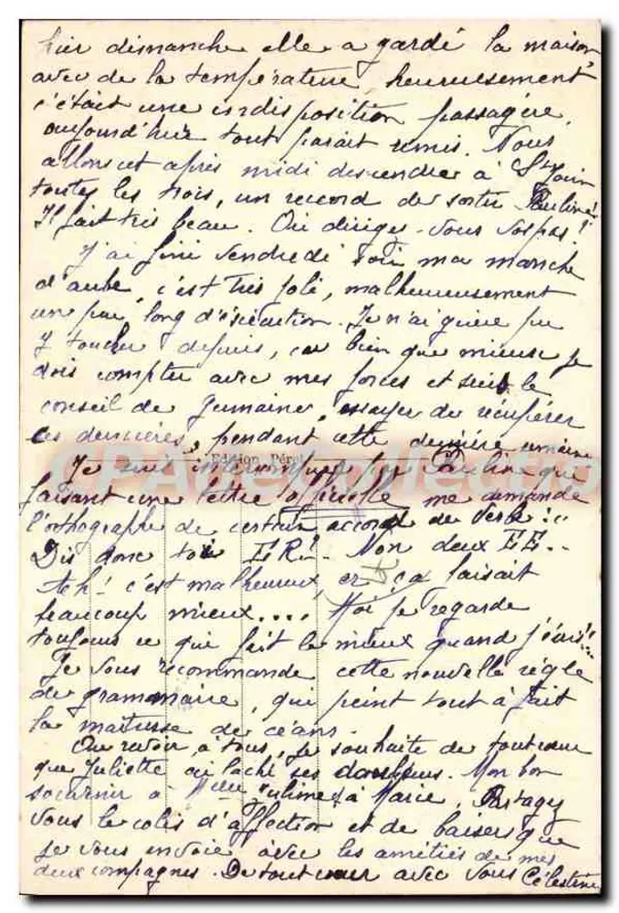 Entornos de CHATILLON-SUR-SEVRE — Las Ruinas de la Durbelière — n° 5696 - Reverso
