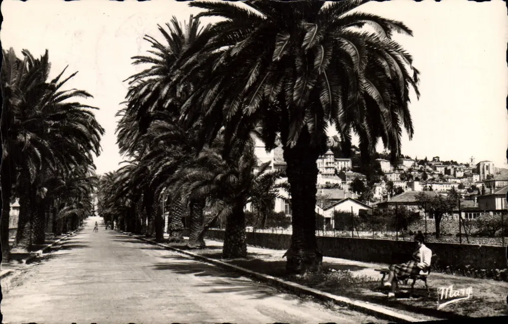 Avenue des Palmiers in Hyères — Ansicht mit Palmen und Dorf im Hintergrund — editionen MARY, Nr. 1045 - Vorderseite