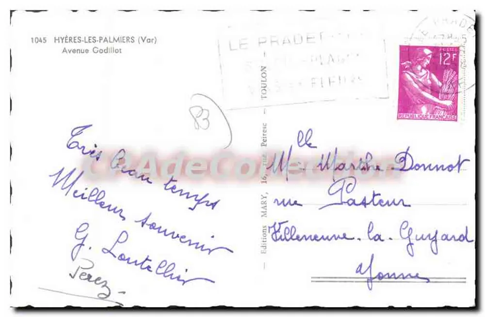 Avenue des Palmiers in Hyères — Ansicht mit Palmen und Dorf im Hintergrund — editionen MARY, Nr. 1045 - Rückseite