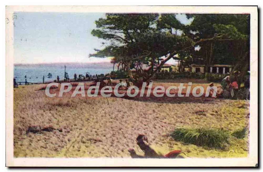 Strand und La Potinière — Hyères-les-Palmiers (Var) — Vintage Postcard/Antike Ansichtskarte - Vorderseite