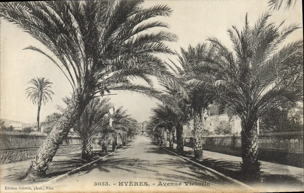 Hyères - Avenida Victoria — vista de avenida cercada de palmeiras — Edição Gilelta, Nice, n° 3053 - Frente