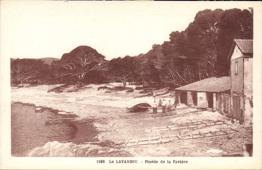 Le Lavandou - Pinède de la Favière — Verleger: Établissements d’Impressions Phototypiques Manus Ban, Toulon - Vorderseite
