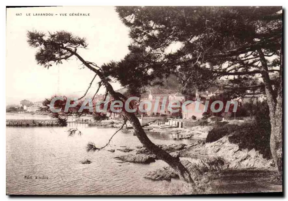 Le Lavandou - Vista Geral — Editor: P. S. Studio, n° 647 - Frente