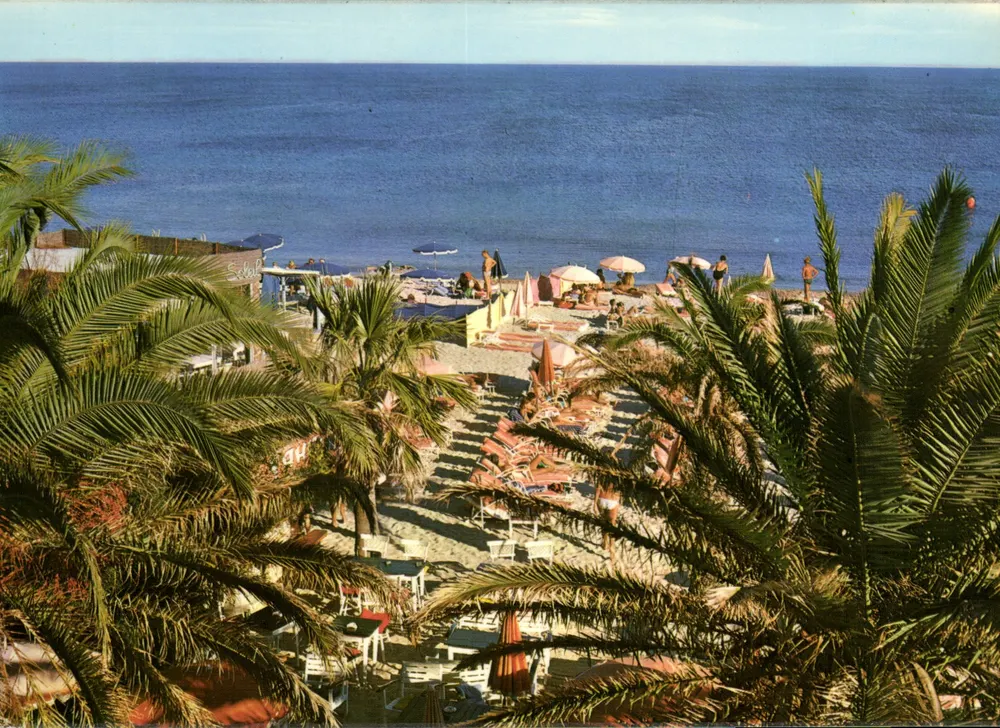 Saint-Tropez — Palmen an der Tahiti-Strand — Les Éditions en France - Vorderseite