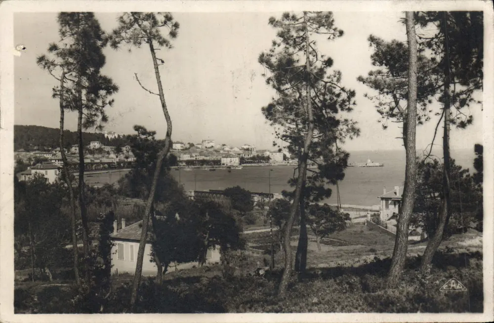 Ste-Maxime-sur-Mer — Através dos Pinheiros — Ed. V. Craissé - Frente