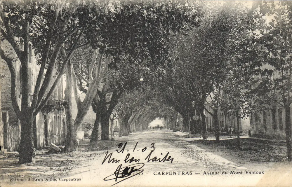 Carpentras — Avenue du Mont Ventoux — Uitgave J. Brun & Cie, Carpentras - Voorkant