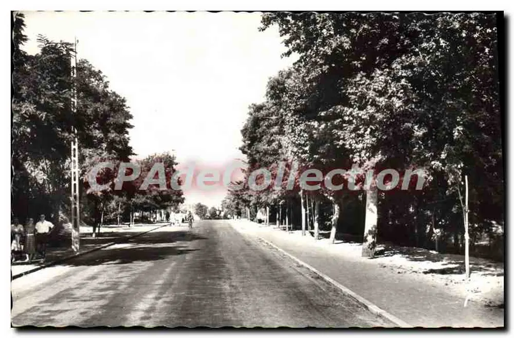 Avenue de la Mer — Saint-Jean-de-Monts — Éditions de la Cloche, Nantes - Vorderseite