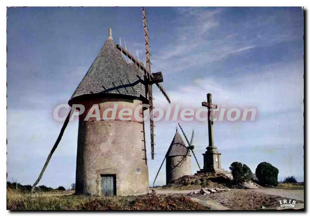 Der Hügel der Lerchen — Vendée — Editionen IRIS - Vorderseite