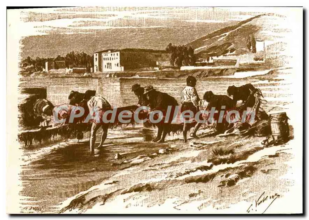 Fischer ziehen ihre Netze — Korsika — S.A.D. Route du Vittulo, 20178 Ajaccio - Vorderseite
