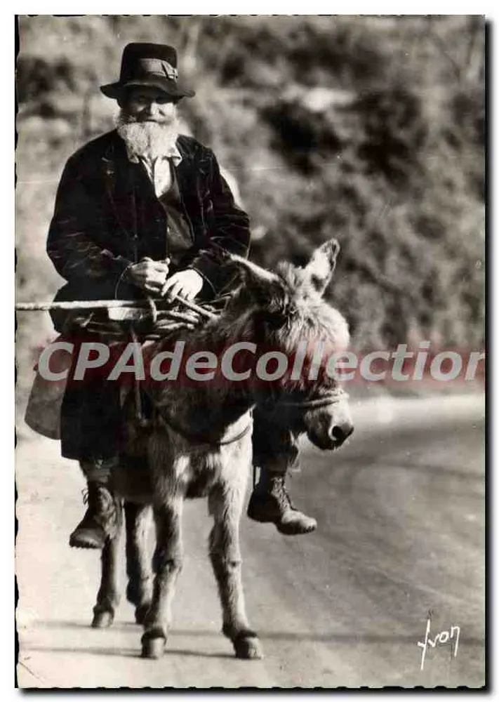 Homem barbado com chapéu montado em um jumento — Bilhete postal antigo de Coleção, n° I.B. 214 - Frente