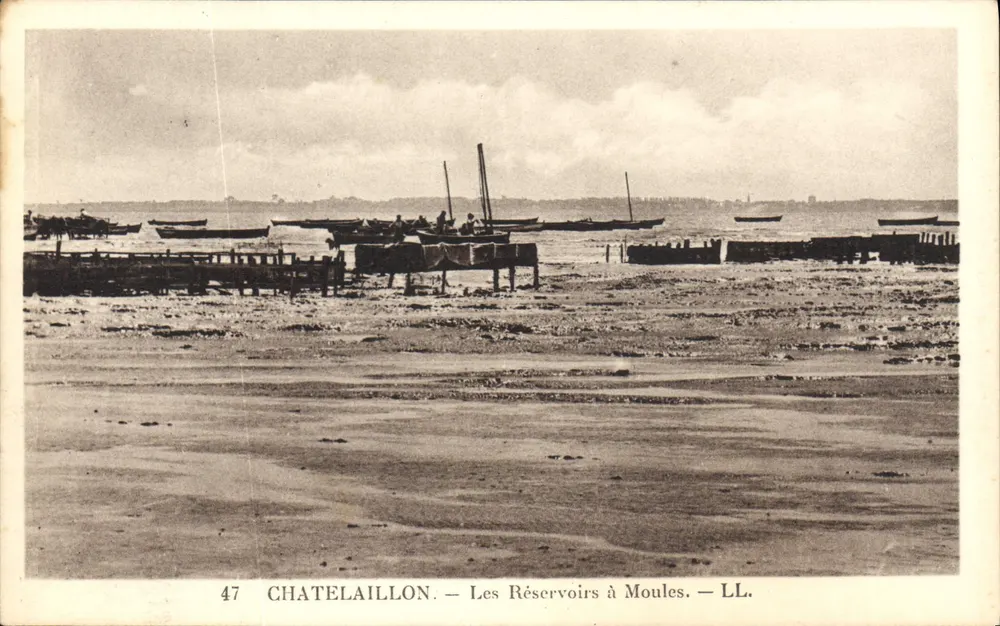 Châtelaillyon — Os Reservatórios de Moules — LL. - Frente