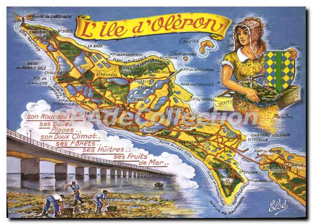 Wyspa Oléron — ilustrowana karta pocztowa — Wydawca Élé, Toulouse - Awers
