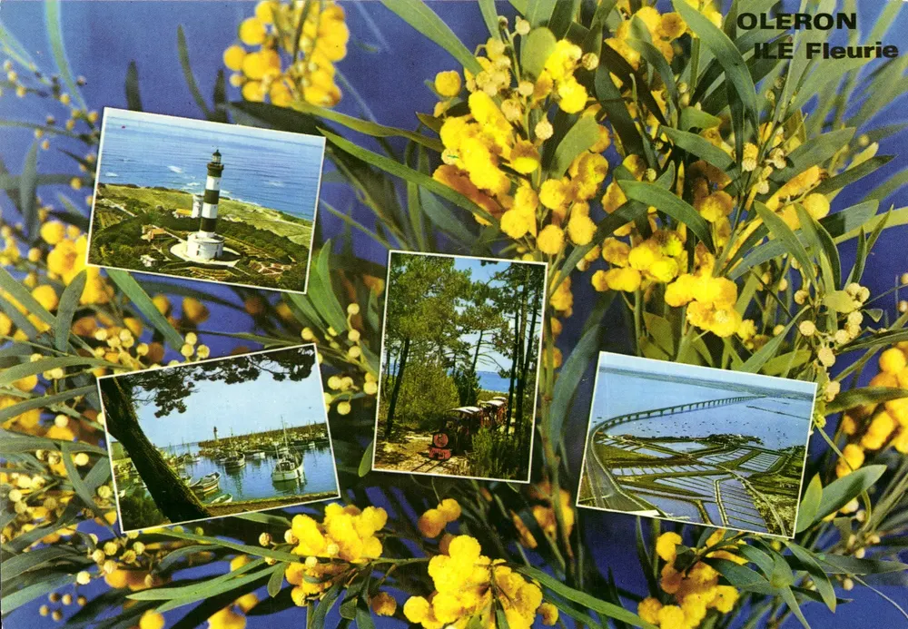 Isla de Oleron — Isla de las Flores — Ediciones Reunidas Panazol - Anverso