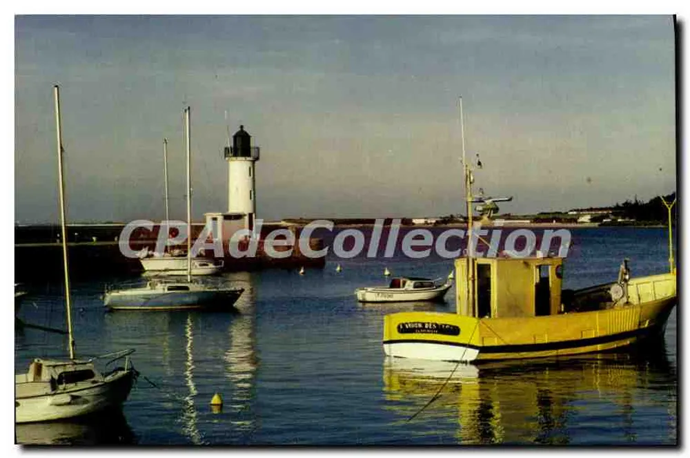 L'isola di Ré 'Ile Blanche' — LA FLOTTE (Charente-Maritime) — IRIS, Foto I. Tardiglilo - Recto