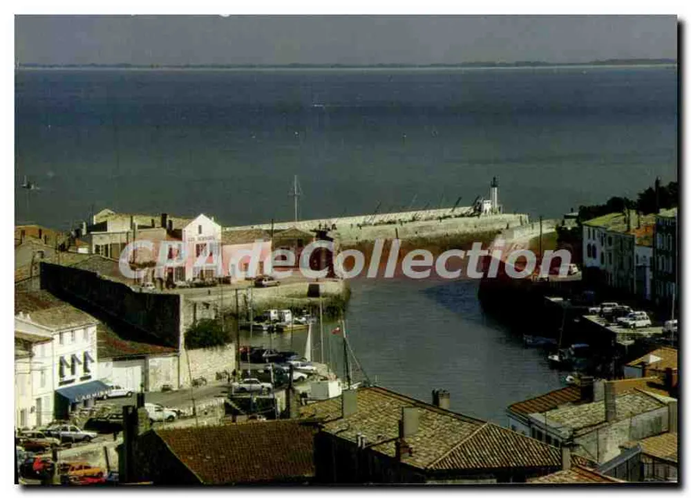 Saint-Martin-de-Ré — Ehemalige Hauptstadt der Insel — IRIS - Vorderseite